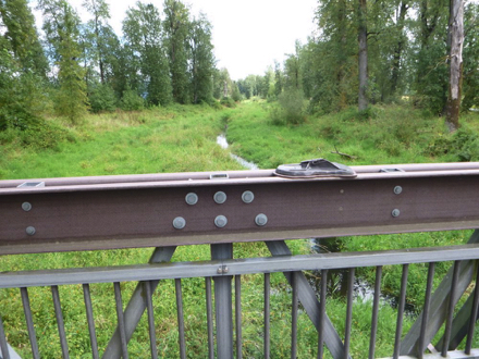 Wooden foot bridge with railing over lake on the Gibbons Creek Wildlife Art Trail – art piece of an insect on railing